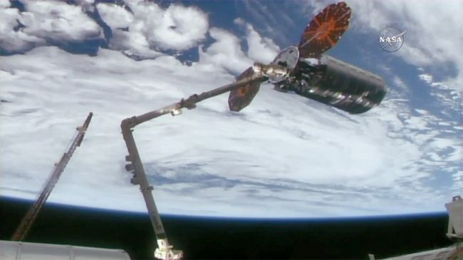 Роботизированная рука Canadarm2