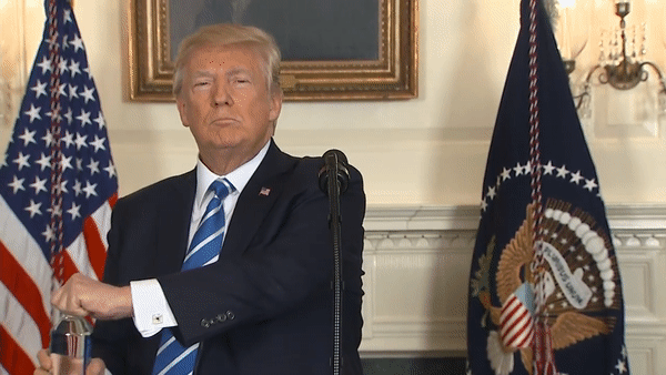 Президент США Дональд Трамп на пресс-конференции в Белом доме Президент США Дональд Трамп на пресс-конференции в Белом доме
