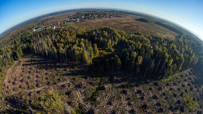 Земли Подмосковья Земли Подмосковья