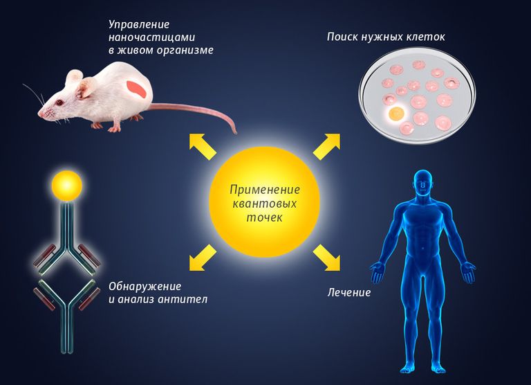 Применение квантовых точек Применение квантовых точек