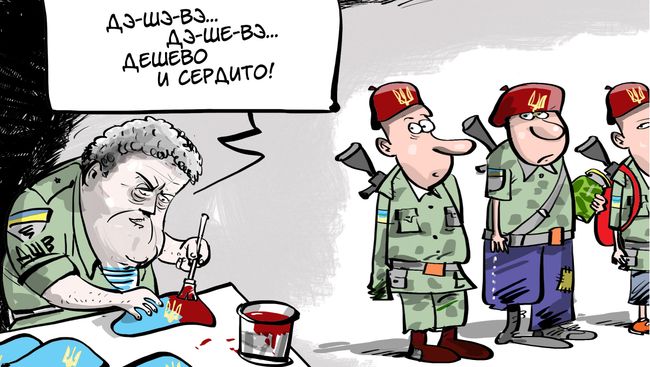 Цвет новых побед