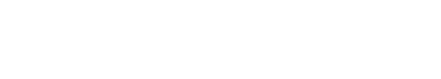 logo_searchinform