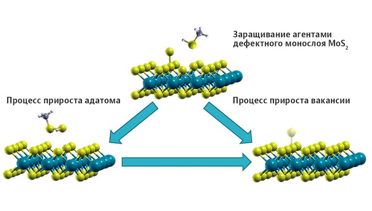 Схема заращивания дефектов в дисульфиде молибдена