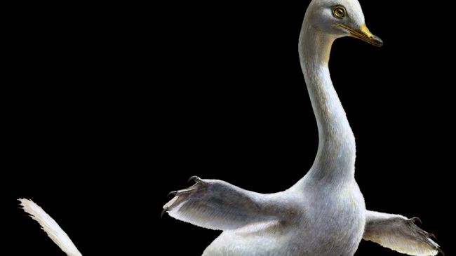 Уткозавр Halszkaraptor escuilliei в представлении художника Уткозавр Halszkaraptor escuilliei в представлении художника