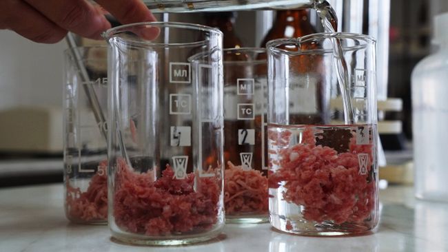 В лаборатории предприятия во время производства мясных деликатесов компании Калининградский деликатес В лаборатории предприятия во время производства мясных деликатесов компании Калининградский деликатес