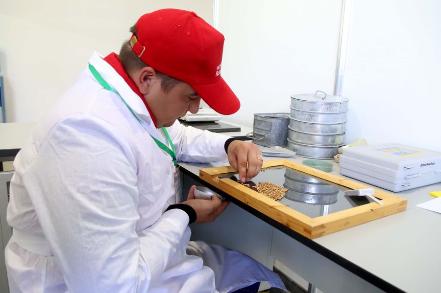 Участник отраслевого чемпионата в сфере сельского хозяйства AgroSkills. 2017 г. Участник отраслевого чемпионата в сфере сельского хозяйства AgroSkills. 2017 г.