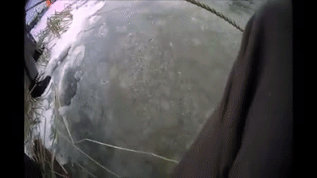 Полицейский провалился под лед gif Полицейский провалился под лед gif