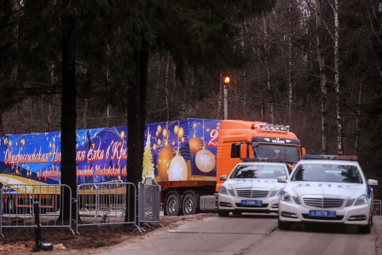 Отправка главной новогодней елки в Москву