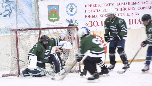 Хоккейный матч I этапа Всероссийских соревнований хоккеистов клуба Золотая шайба