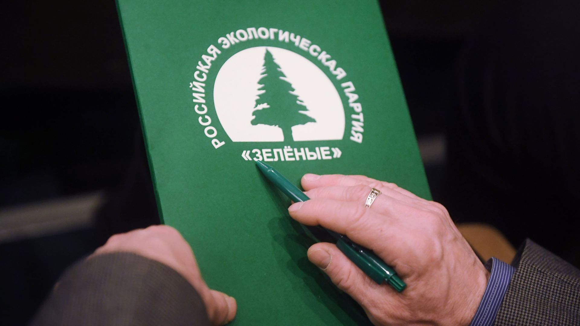 Съезд партии Зеленые Съезд партии Зеленые - РИА Новости, 1920, 20.05.2024