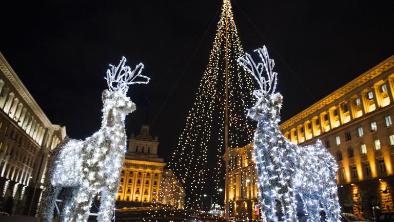 Елка в центре Софии, Болгария Елка в центре Софии, Болгария