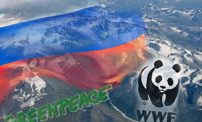 Гринпис и WWF требуют прекратить преследование иркутских экологов