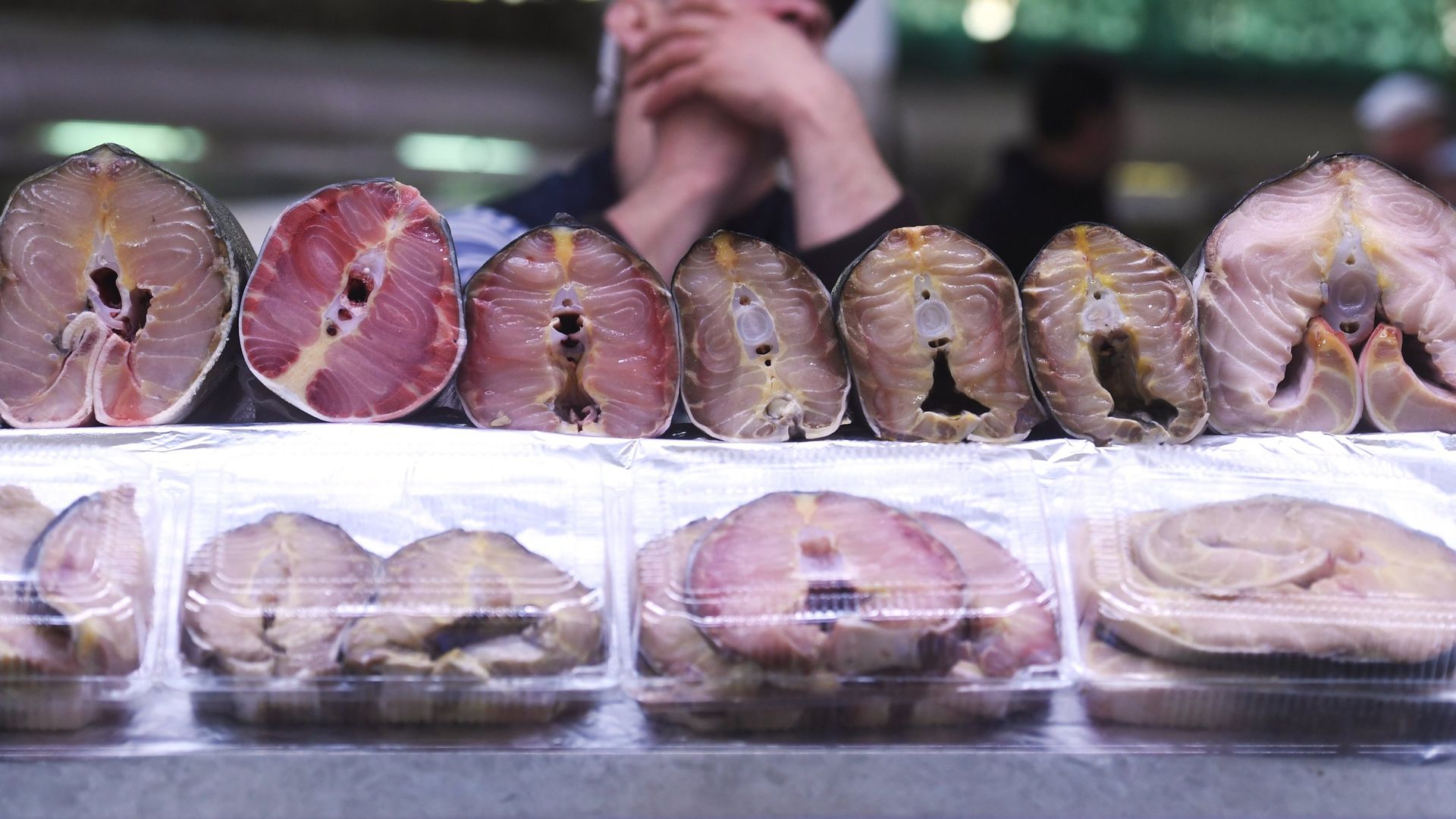 Прилавок с морепродуктами на Дорогомиловском рынке в Москве Прилавок с морепродуктами на Дорогомиловском рынке в Москве - РИА Новости, 1920, 13.06.2024
