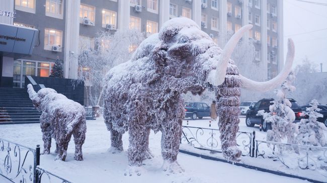 Скульптура мамонта возле здания окружной администрации города Якутска Скульптура мамонта возле здания окружной администрации города Якутска