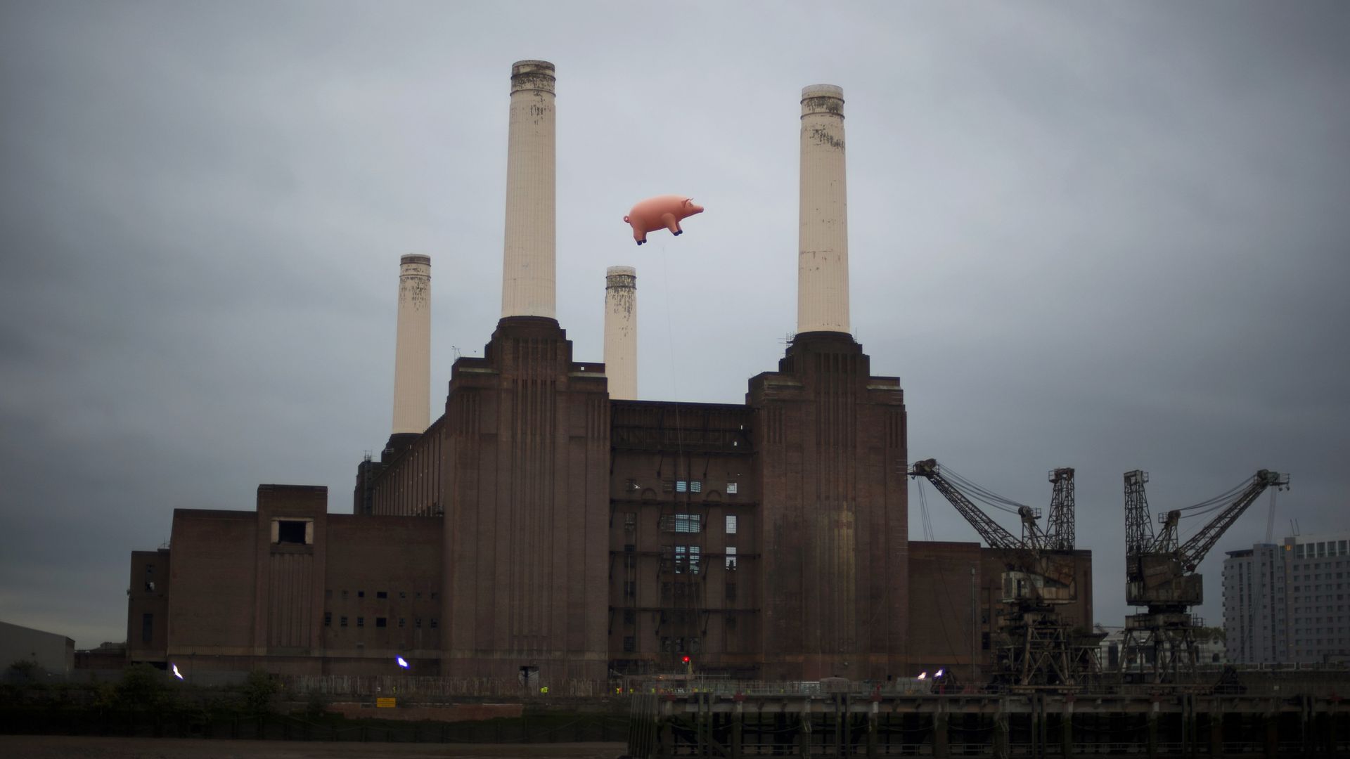 Надувная свинья над электростанцией Battersea в Лондоне во время фотосессии для продвижения выпуска ремастерированных альбомов и ранее не изданной музыки британской рок-группы Pink Floyd - РИА Новости, 1920, 06.10.2022