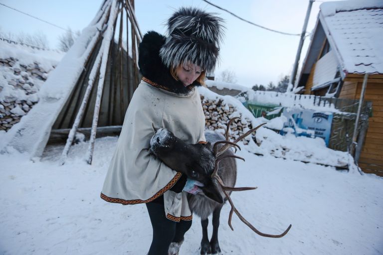 Женщина с оленем в частном хозяйстве саамов в поселке при железнодорожной станции Лопарская в Кольском районе Мурманской области