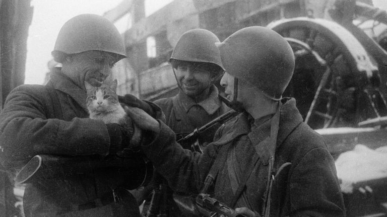 Мирные воспоминания. Сталинград, 1943 г Мирные воспоминания. Сталинград, 1943 г