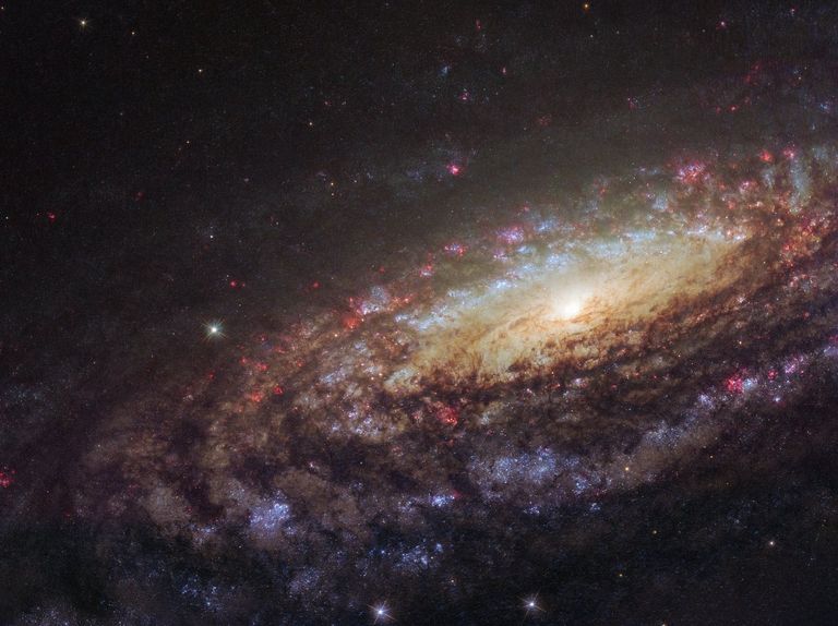 Спиральная галактика NGC 7331 в созвездии Пегас Спиральная галактика NGC 7331 в созвездии Пегас