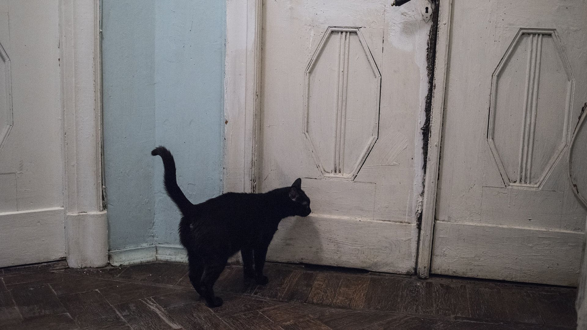 Коммунальная квартира на Мясницкой улице - РИА Новости, 1920, 27.05.2019