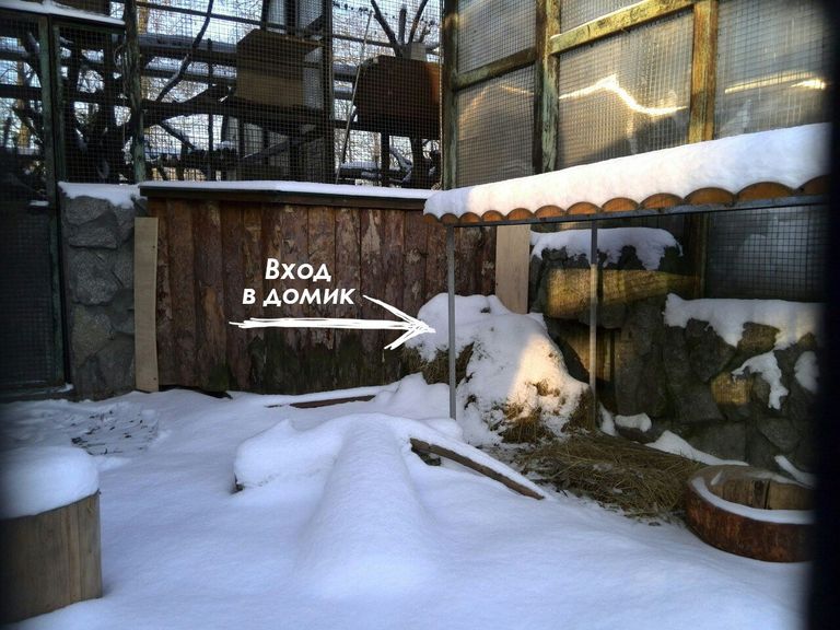 Домик сурков в Ленинградском зоопарке Домик сурков в Ленинградском зоопарке