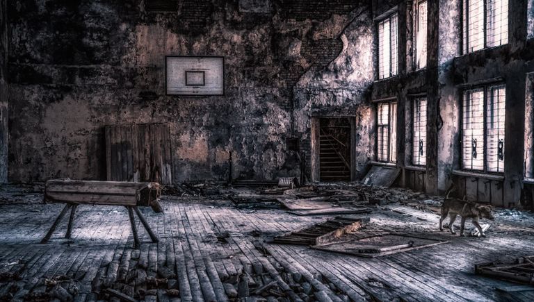 Сейчас исследование заброшенных мест стало своеобразным туризмом. В зону отчуждения можно попасть как официальным путем, так и нет. Сейчас исследование заброшенных мест стало своеобразным туризмом. В зону отчуждения можно попасть как официальным путем, так и нет.