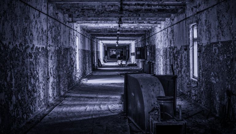 Территория находится под охраной, которая следит, чтобы с зоны никто не вывозил зараженные предметы или древесину. Территория находится под охраной, которая следит, чтобы с зоны никто не вывозил зараженные предметы или древесину.