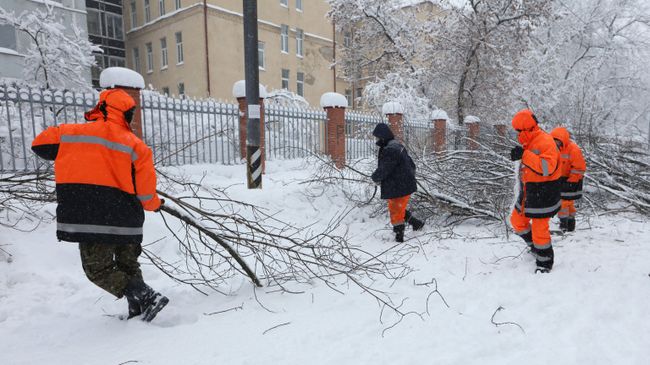 Сотрудники коммунальных служб убирают деревья сломанные в следствии снегопада в Москве. 4 февраля 2018