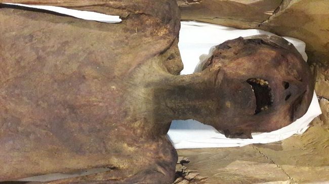 Кричащая мумия сына древнеегипетского фараона XX династии Рамзеса III Пентаура Кричащая мумия сына древнеегипетского фараона XX династии Рамзеса III Пентаура