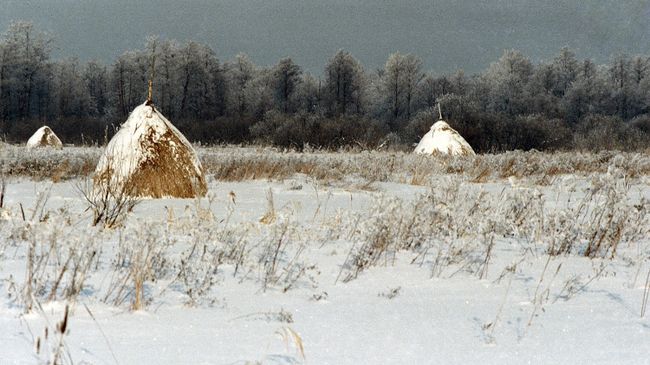 Рязанская область