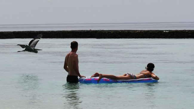 Туристы купаются в море у берега одного из Мальдивских островов