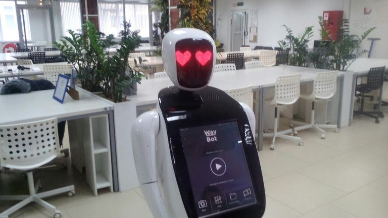 Робот Waybot