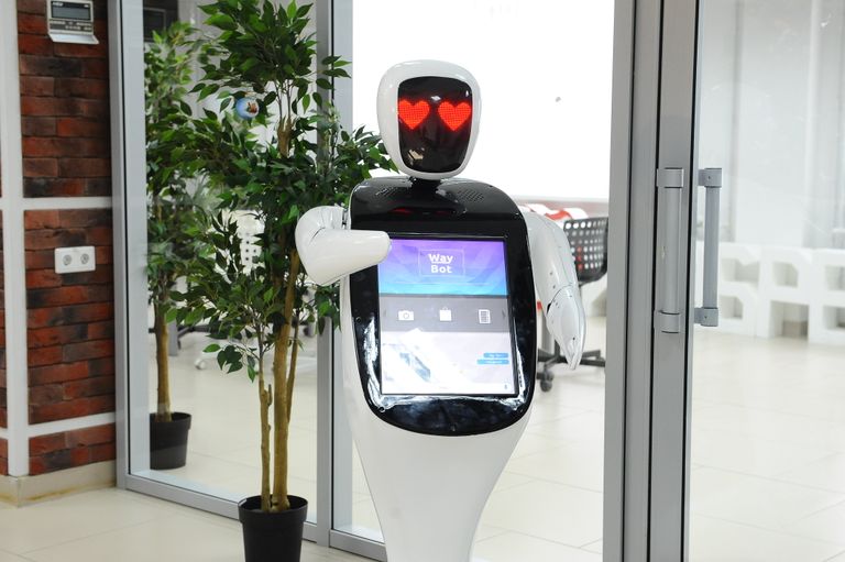 Робот Waybot