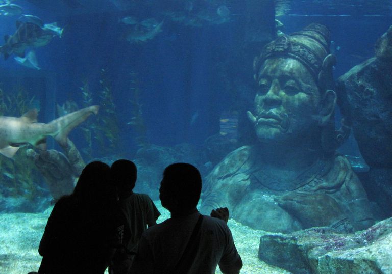 Посетители Океанариума Siam Ocean World в Бангкоке Посетители Океанариума Siam Ocean World в Бангкоке