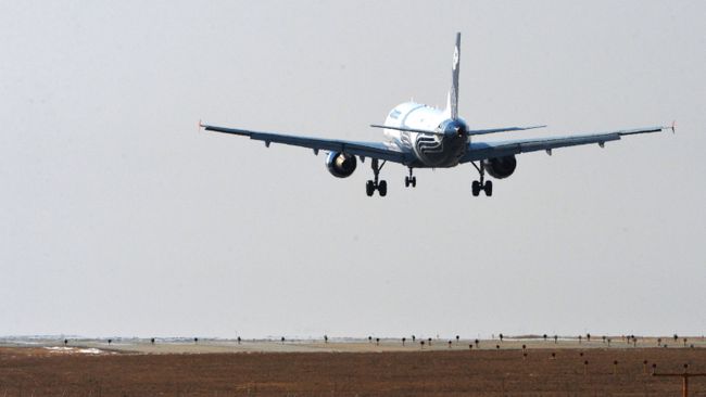 Самолет Airbus A319 Самолет Airbus A319