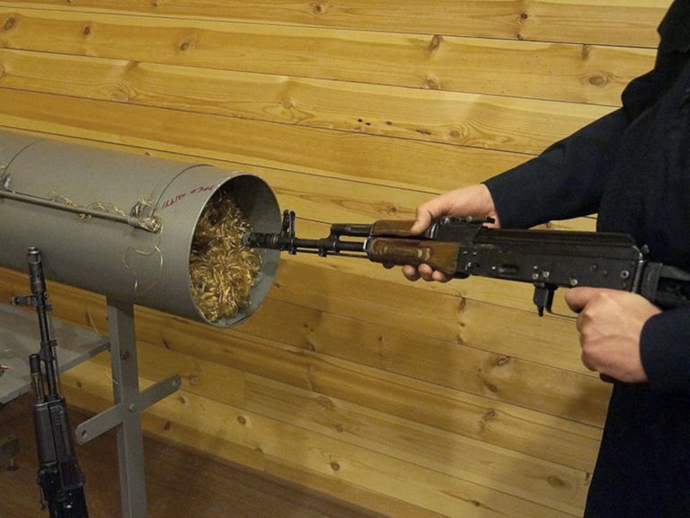Транспортные полицейские изъяли из незаконного оборота оружие и боеприпасы в Ростовской области. 22 февраля 2018 