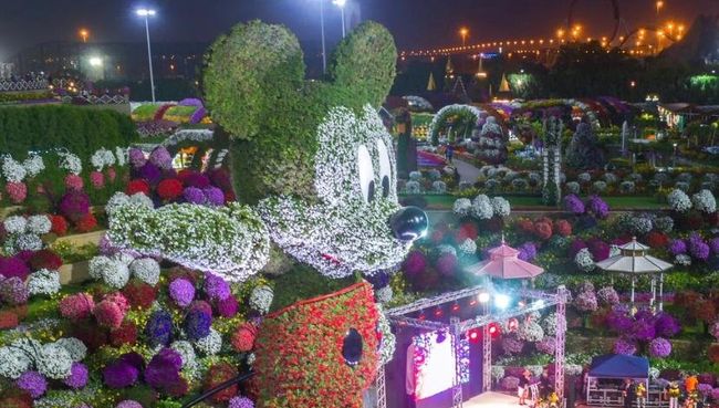 Самой большой цветочной Mickey Mouse в Дубае Самой большой цветочной Mickey Mouse в Дубае