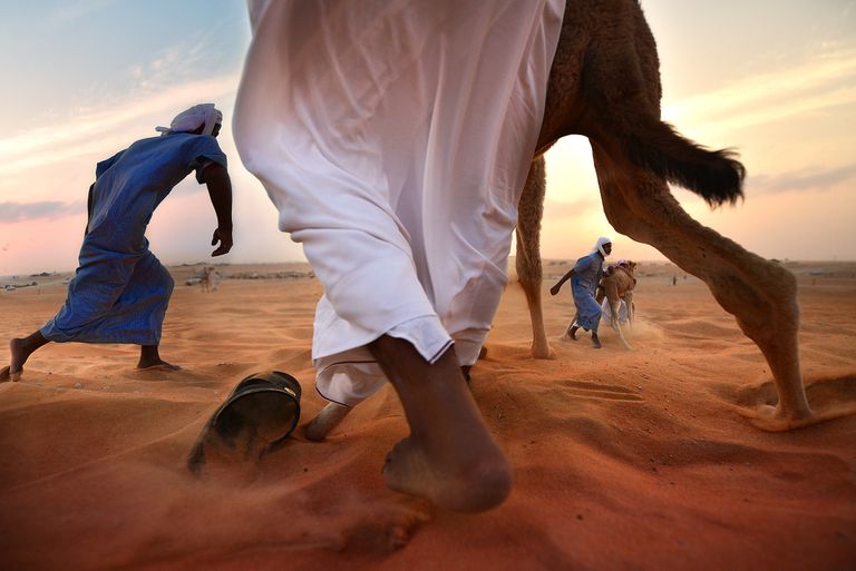 Работа фотографа Don Ferdinand Tabbun - финалиста конкурса 2018 Sony World Photography Awards Работа фотографа Don Ferdinand Tabbun - финалиста конкурса 2018 Sony World Photography Awards