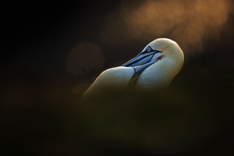 Работа фотографа Jiri Michal - финалиста конкурса 2018 Sony World Photography Awards Работа фотографа Jiri Michal - финалиста конкурса 2018 Sony World Photography Awards