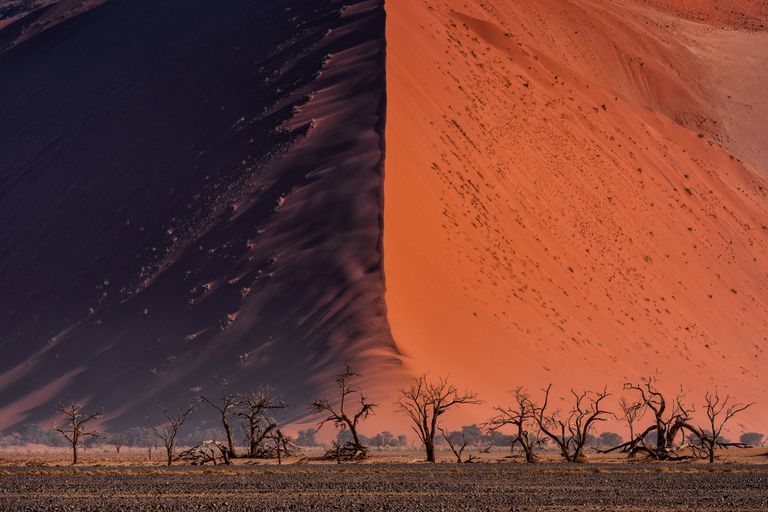 Работа фотографа Paranyu Pithayarungsarit - финалиста конкурса 2018 Sony World Photography Awards Работа фотографа Paranyu Pithayarungsarit - финалиста конкурса 2018 Sony World Photography Awards