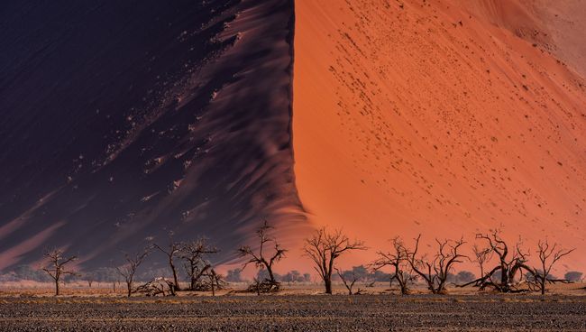 Работа фотографа Paranyu Pithayarungsarit - финалиста конкурса 2018 Sony World Photography Awards