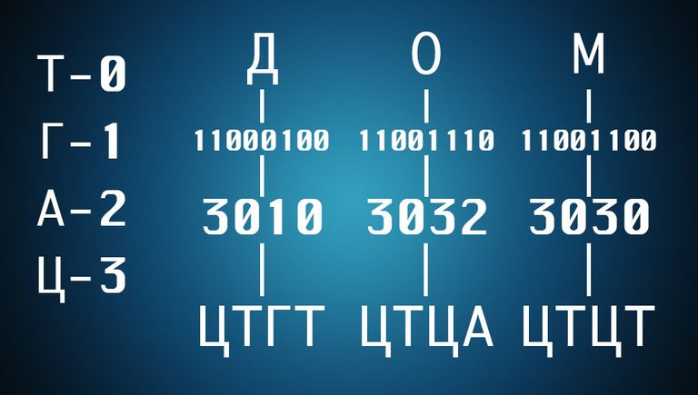 Прежде чем закодировать данные в ДНК, нужно перевести их в цифровой код