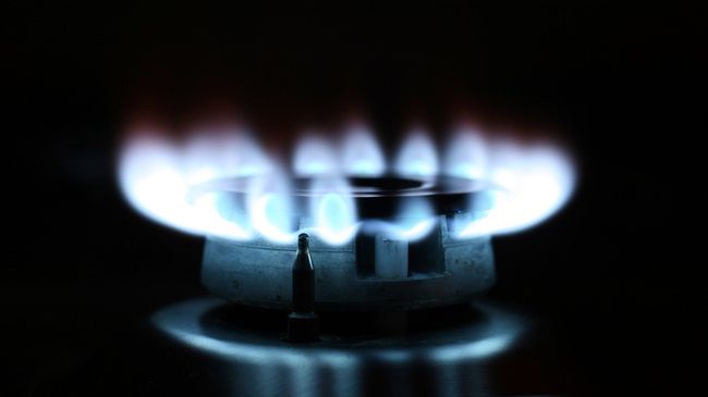 Пламя газовой конфорки Пламя газовой конфорки