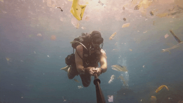 Дайвер плывет через мусор gif Дайвер плывет через мусор gif