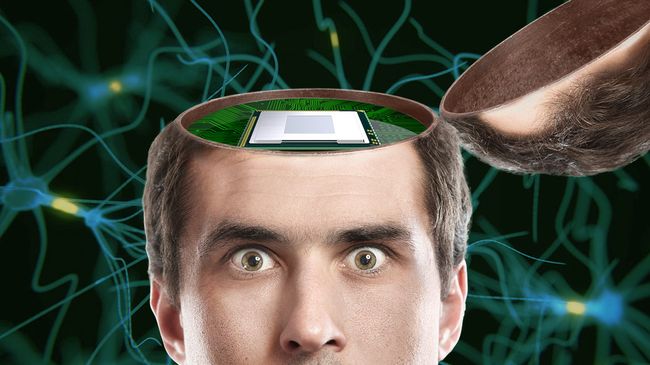 В человеческом мозге огромное количество нейронов, что осложняет его исследования В человеческом мозге огромное количество нейронов, что осложняет его исследования