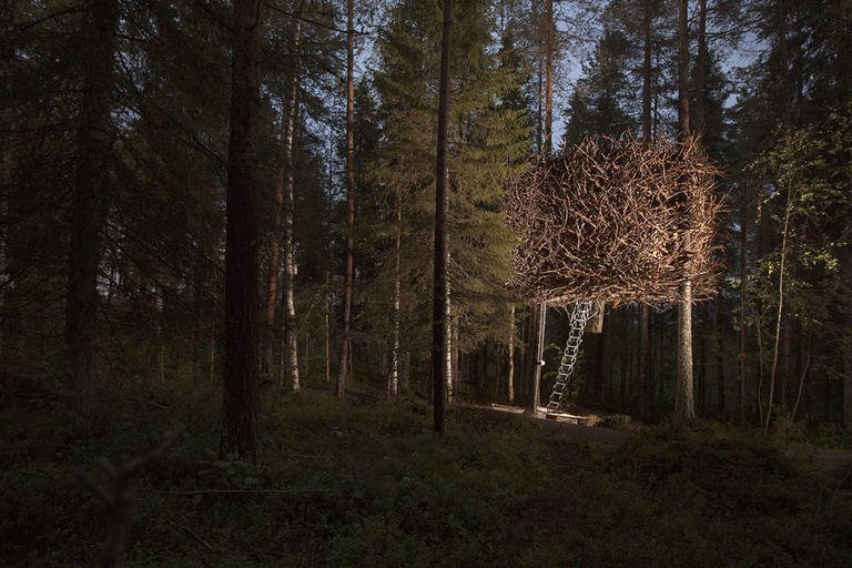 Treehotel, Harads, Швеция Treehotel, Harads, Швеция