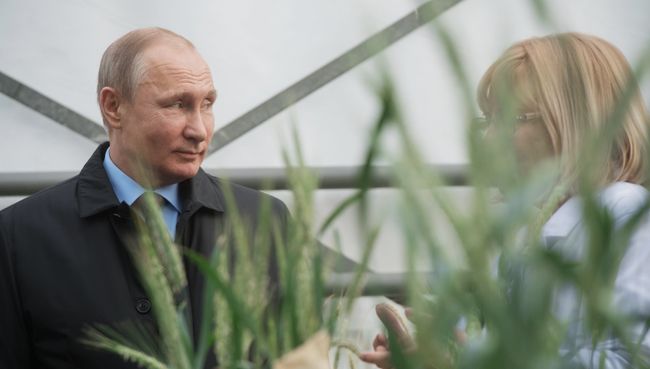 Президент РФ Владимир Путин во время посещения Национального центра зерна имени П. П. Лукьяненко в Краснодаре. 12 марта 2018 Президент РФ Владимир Путин во время посещения Национального центра зерна имени П. П. Лукьяненко в Краснодаре. 12 марта 2018