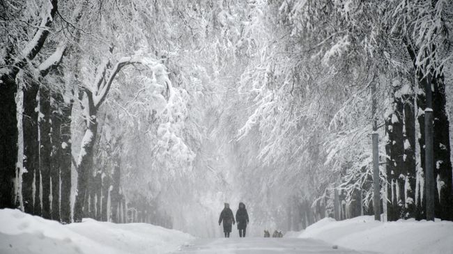 Зима в Москве