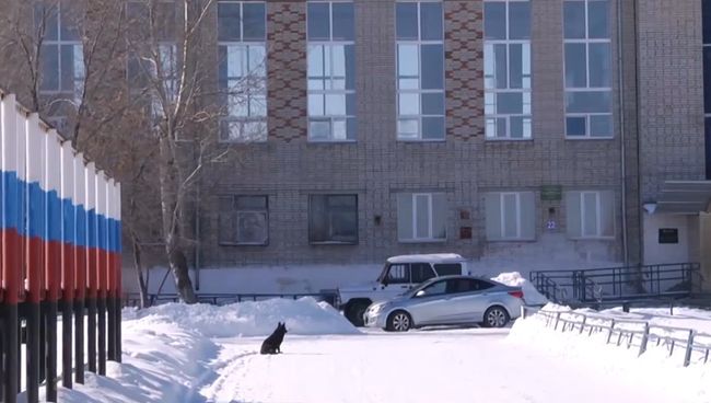Школа №15 в Шадринске Школа №15 в Шадринске