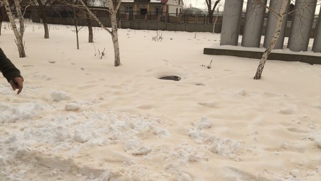 Желтый снег в Одесской области Желтый снег в Одесской области