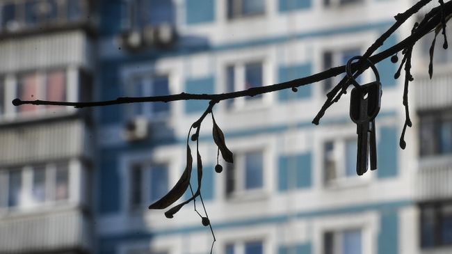 Ключи висят на ветке дерева Ключи висят на ветке дерева